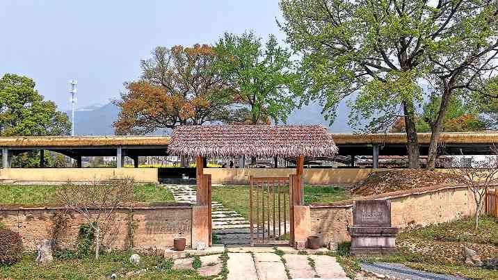 从“六大”到“十大”，“双入选”项目背后